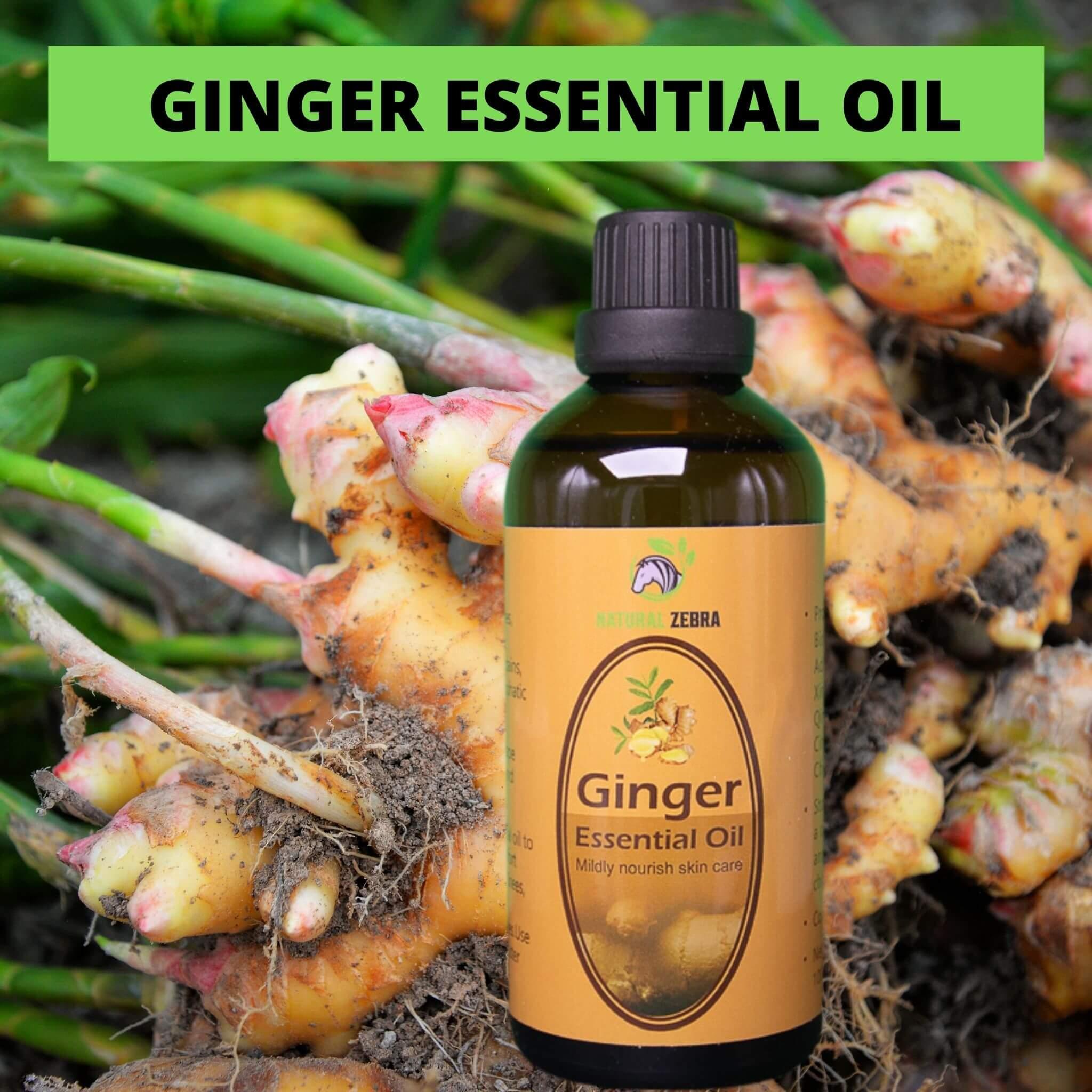 Ginger Essential Oil - 100ml at Set Shop and Smile