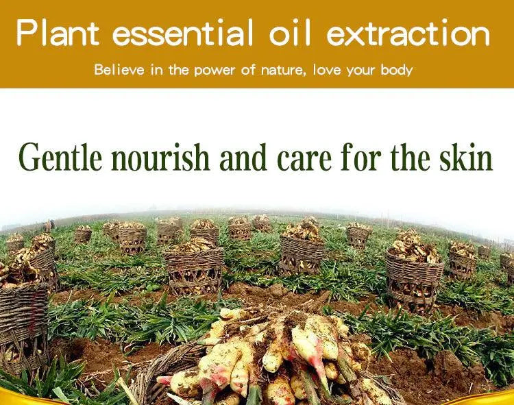 Pure Natural Ginger Essential Oil at Set Shop and Smile