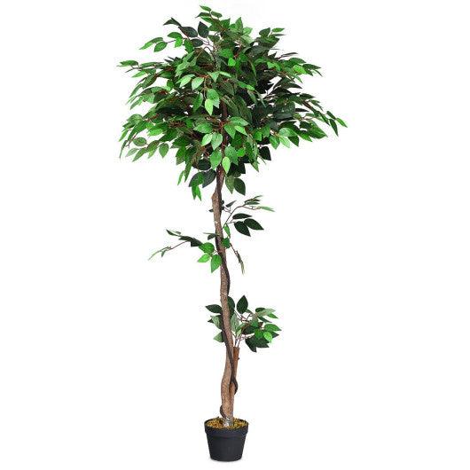 5.5 Feet Artificial Ficus Silk Tree with Wood Trunks at Set Shop and Smile